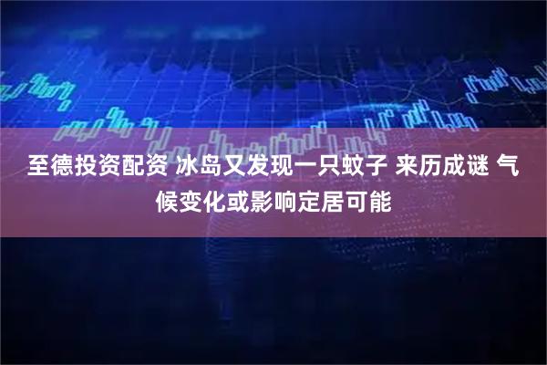 至德投资配资 冰岛又发现一只蚊子 来历成谜 气候变化或影响定居可能