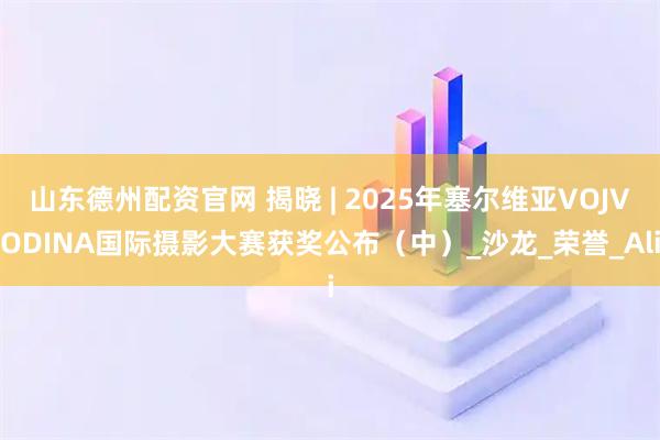 山东德州配资官网 揭晓 | 2025年塞尔维亚VOJVODINA国际摄影大赛获奖公布（中）_沙龙_荣誉_Ali