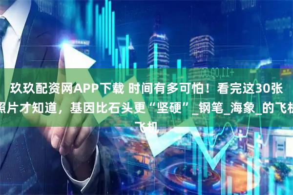 玖玖配资网APP下载 时间有多可怕！看完这30张照片才知道，基因比石头更“坚硬”_钢笔_海象_的飞机