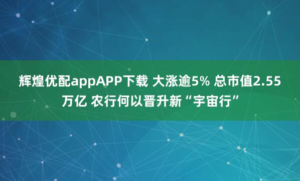 辉煌优配appAPP下载 大涨逾5% 总市值2.55万亿 农行何以晋升新“宇宙行”
